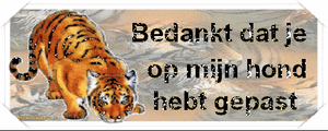 Bedankt Tekst plaatjes 