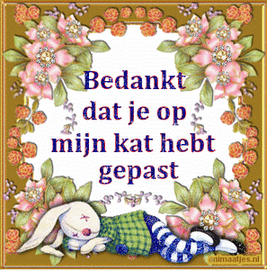 Bedankt Tekst plaatjes 