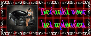 Bedankt Tekst plaatjes 