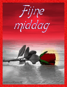 Tekst plaatjes Fijne middag 