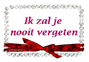 Tekst plaatjes Ik zal je nooit vergeten 
