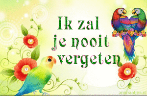 Tekst plaatjes Ik zal je nooit vergeten 