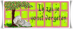 Tekst plaatjes Ik zal je nooit vergeten 