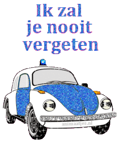 Tekst plaatjes Ik zal je nooit vergeten 