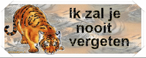 Tekst plaatjes Ik zal je nooit vergeten 