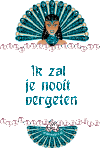 Tekst plaatjes Ik zal je nooit vergeten 
