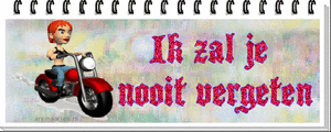 Tekst plaatjes Ik zal je nooit vergeten 