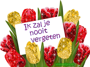 Tekst plaatjes Ik zal je nooit vergeten 