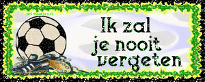 Tekst plaatjes Ik zal je nooit vergeten 