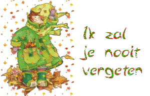 Tekst plaatjes Ik zal je nooit vergeten 