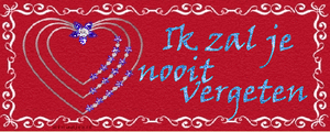 Tekst plaatjes Ik zal je nooit vergeten 