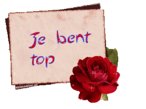 Tekst plaatjes Je bent top 