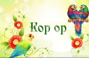Tekst plaatjes Kop op 