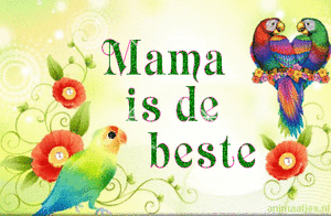 Tekst plaatjes Mama is de beste 