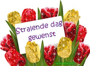 Tekst plaatjes Stralende dag gewenst 