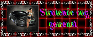 Tekst plaatjes Stralende dag gewenst 
