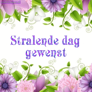 Tekst plaatjes Stralende dag gewenst 