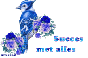 Tekst plaatjes Succes met alles 