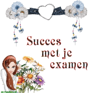 Tekst plaatjes Succes met je examen 