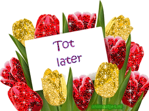 Tot later Tekst plaatjes 