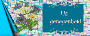 Tekst plaatjes Uit genegenheid 