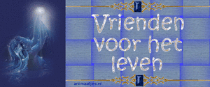 Tekst plaatjes Vrienden voor het leven 