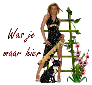 Tekst plaatjes Was je maar hier 