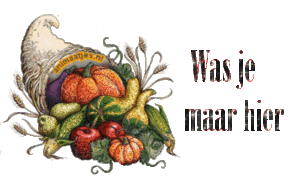 Tekst plaatjes Was je maar hier 