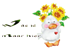 Tekst plaatjes Was je maar hier 