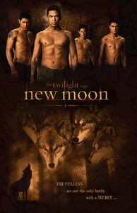 Twilight plaatjes The wolf pack 