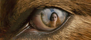 Twilight plaatjes Twilight new moon 