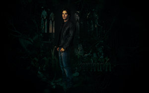 Wallpapers Film en serie The vampire diaries 