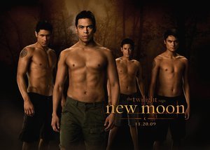 Twilight new moon Wallpapers Film en serie 