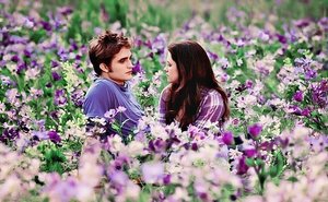 Twilight new moon Wallpapers Film en serie 