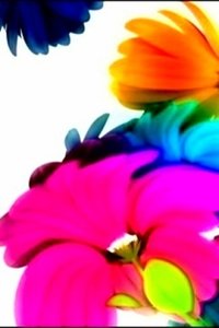 Bloemen Wallpapers Iphone 