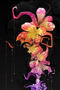 Bloemen Wallpapers Iphone 