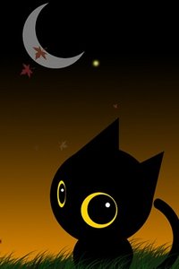 Katten en poezen Wallpapers Iphone 