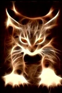 Katten en poezen Wallpapers Iphone 