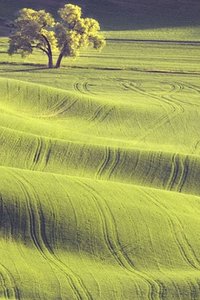 Wallpapers Iphone Landschap en natuur 