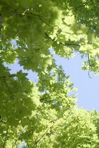 Wallpapers Iphone Landschap en natuur 