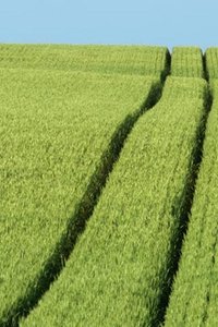 Wallpapers Iphone Landschap en natuur 