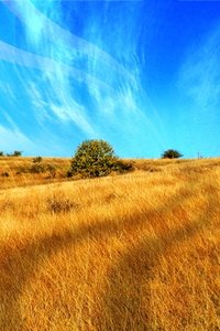 Wallpapers Iphone Landschap en natuur 