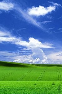 Wallpapers Iphone Landschap en natuur 