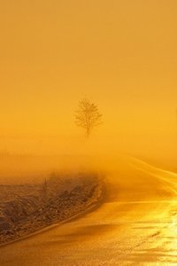 Wallpapers Iphone Landschap en natuur 