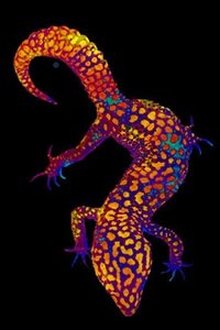 Reptielen Wallpapers Iphone 