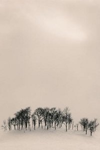 Sneeuw Wallpapers Iphone 