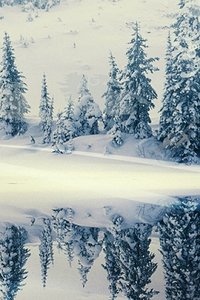Sneeuw Wallpapers Iphone 