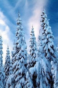 Sneeuw Wallpapers Iphone 