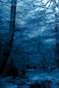 Sneeuw Wallpapers Iphone 