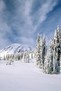 Sneeuw Wallpapers Iphone 